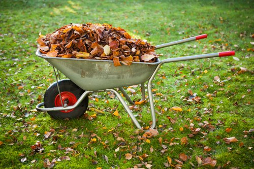 Hiring an enclosed skip in Plaistow