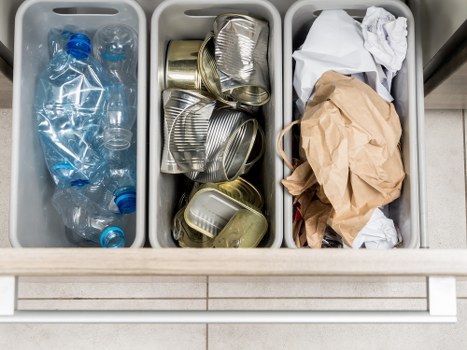 Professional waste disposal service in action