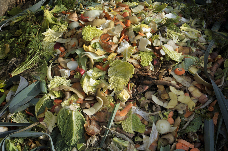 waste disposal household